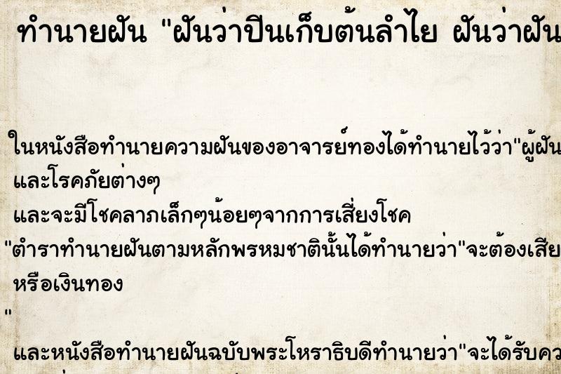ทำนายฝันฝันว่าปีนเก็บต้นลำไยฝันว่าฝันว่าปีนเก็บต้นลำไย ทำนายฝันทำนายฝันฝันว่าปีนเก็บต้นลำไยฝันว่าฝันว่าปีนเก็บต้นลำไย